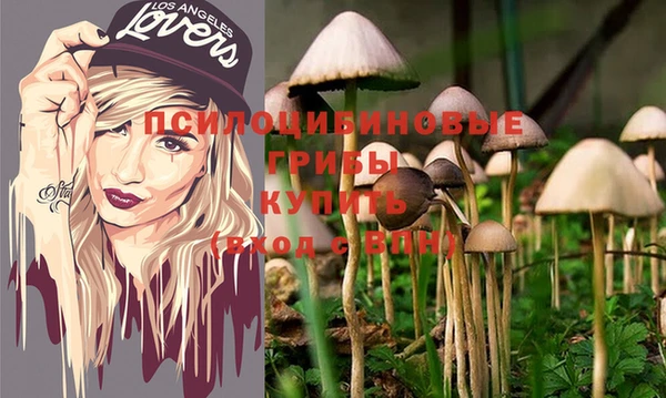 бошки Арсеньев