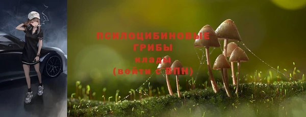 мяу мяу кристалл Нягань