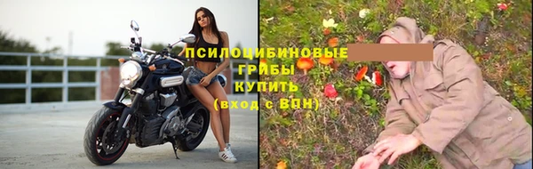 бошки Арсеньев